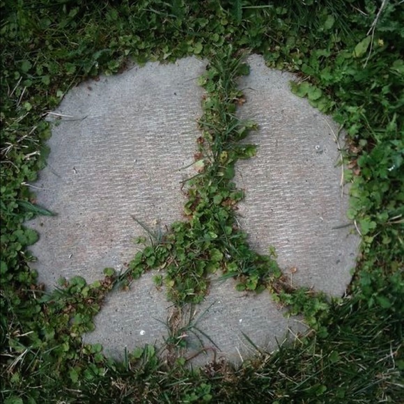ivytrees444
